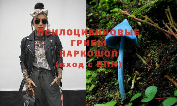 эйфоретик Балахна